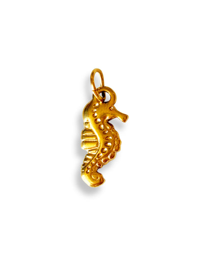 Hippocampe moyen