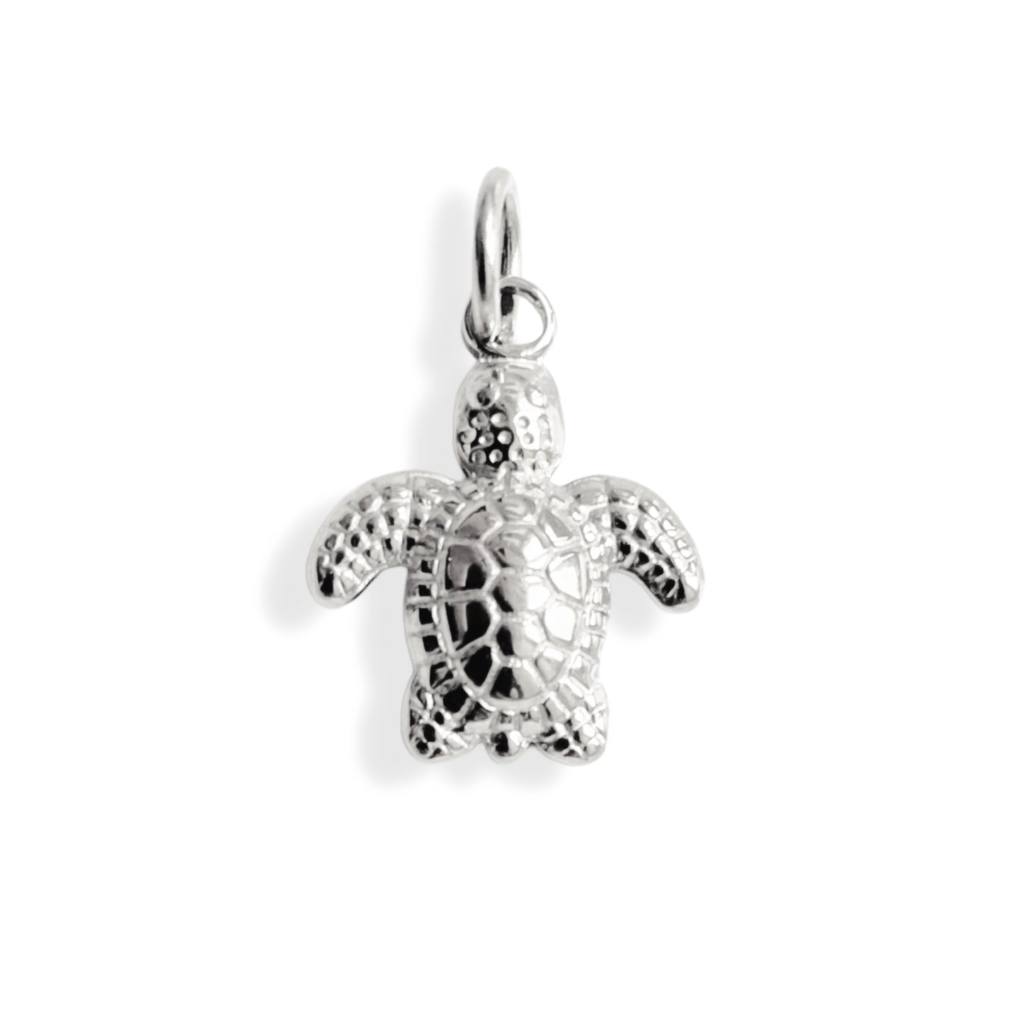 Tortue - charm