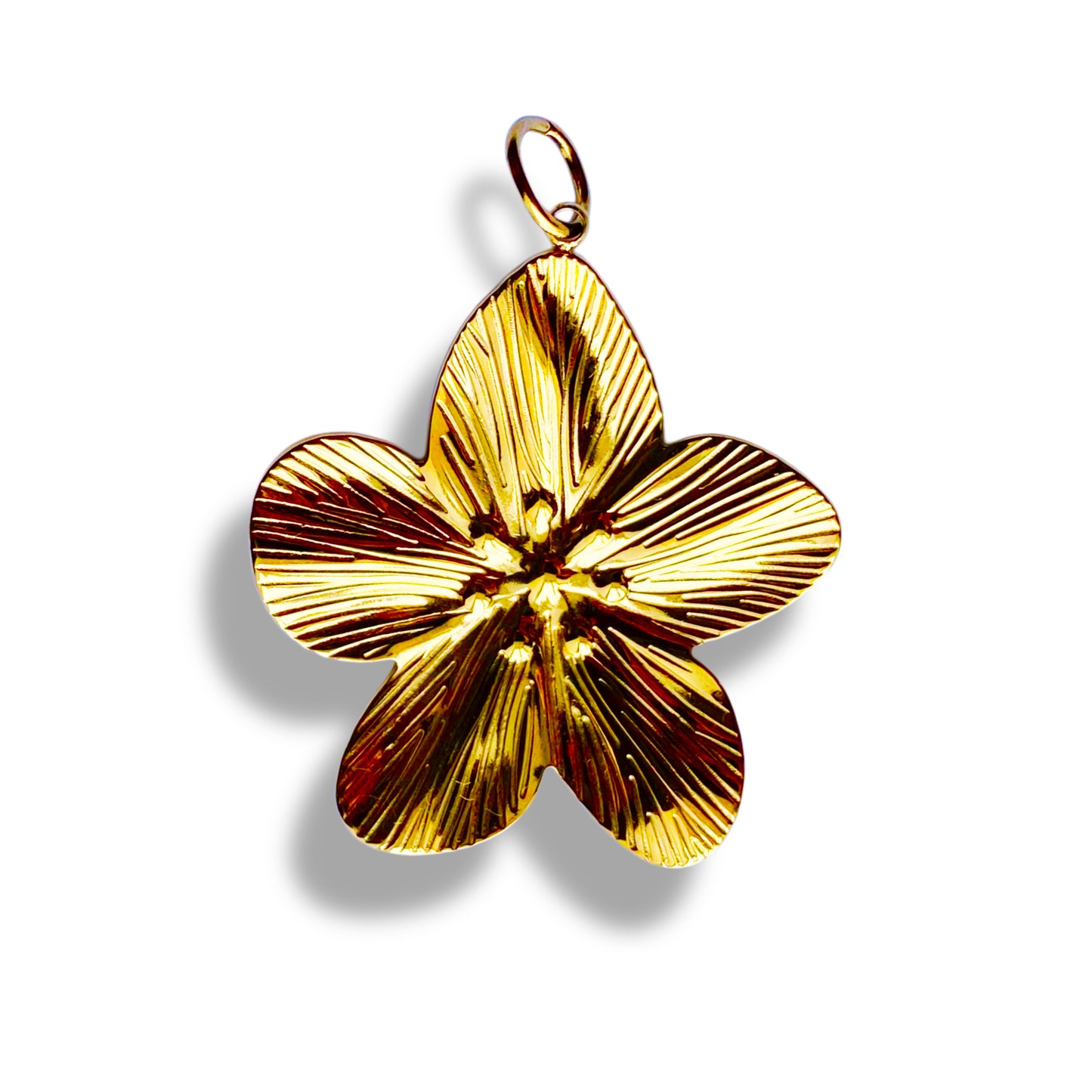 Hibiscus - charm