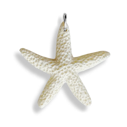 Étoile de mer colorée
