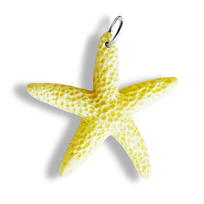 Étoile de mer colorée