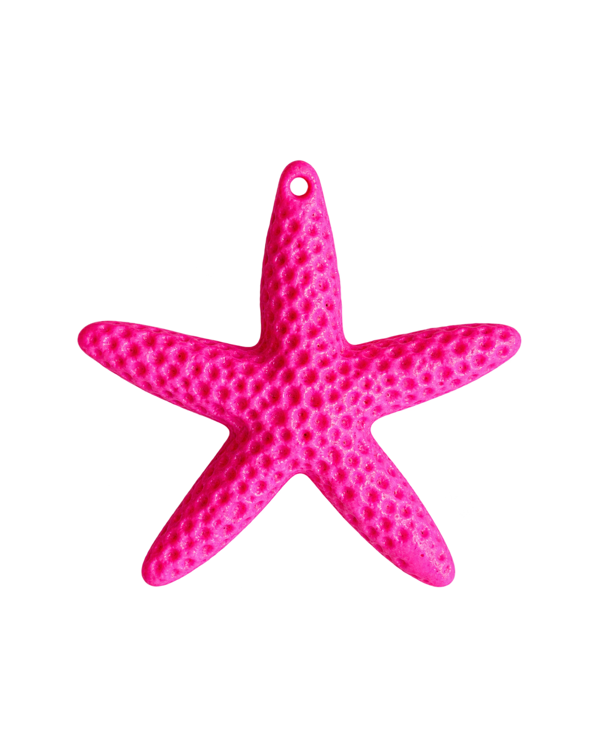 Étoile de mer colorée