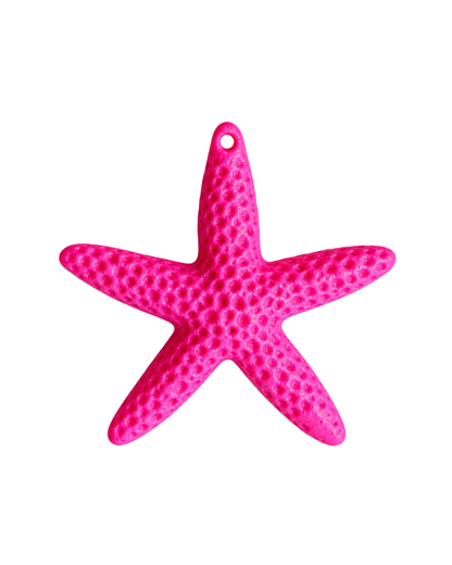 Étoile de mer colorée