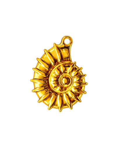 Ammonite