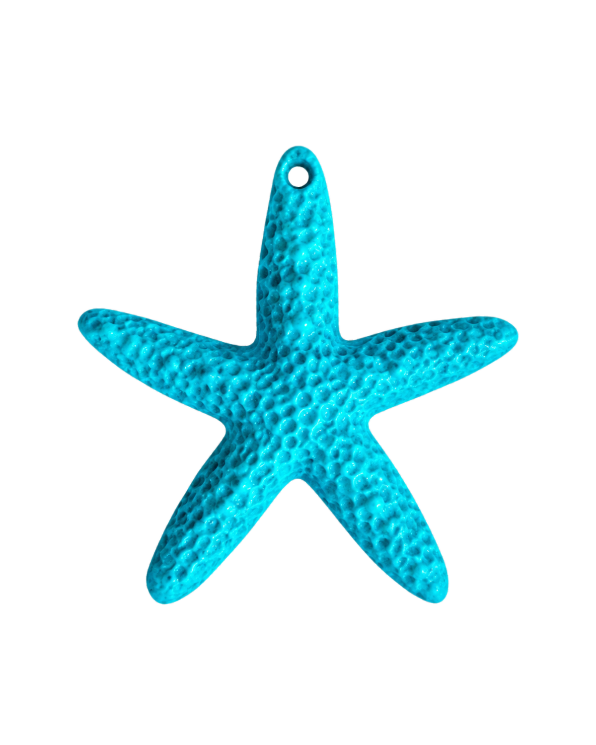 Étoile de mer colorée
