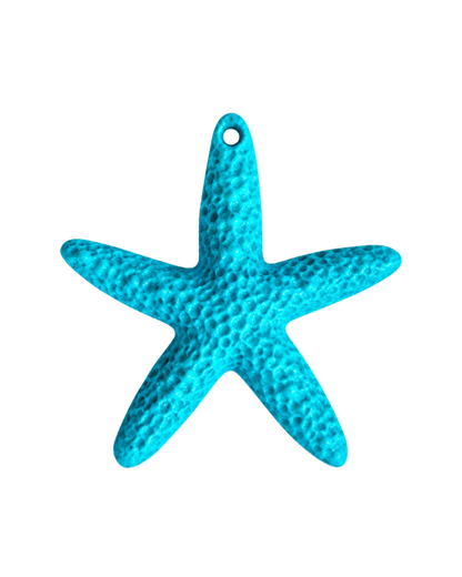 Étoile de mer colorée