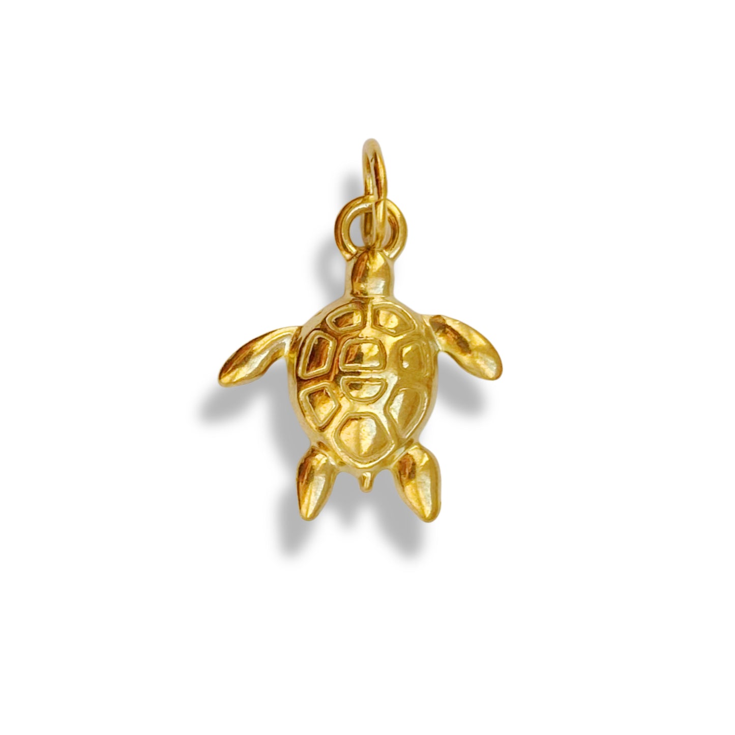 Tortue - charm