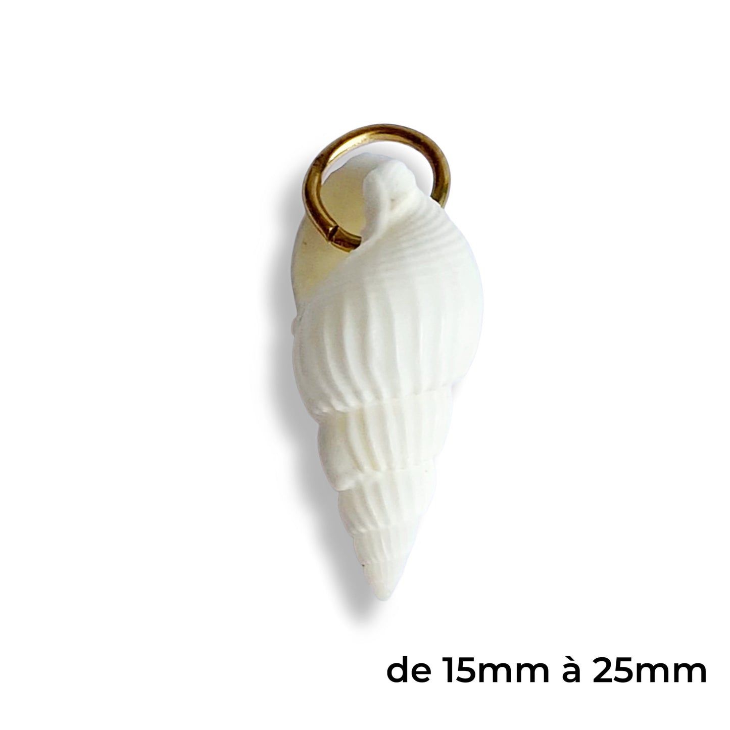 Grand coquillage