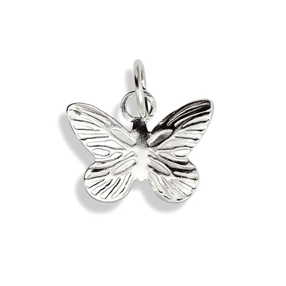 Papillon