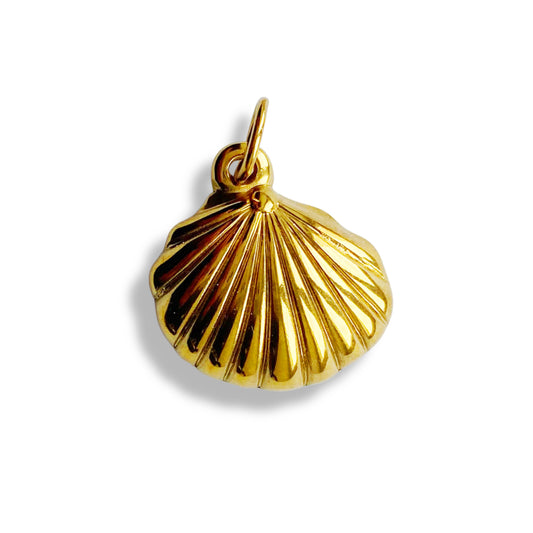 Shell - charm