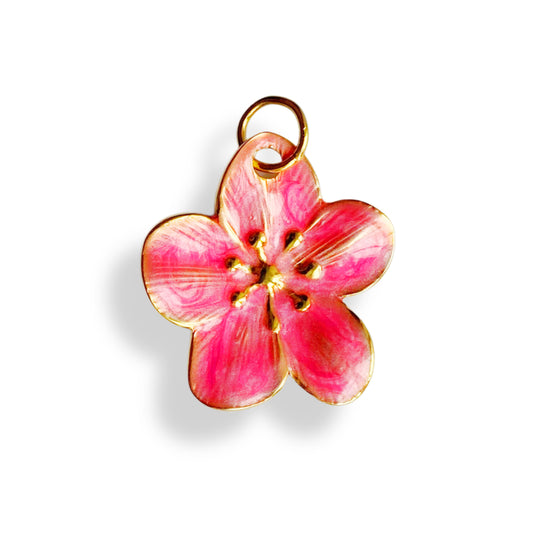 Sakura - charm