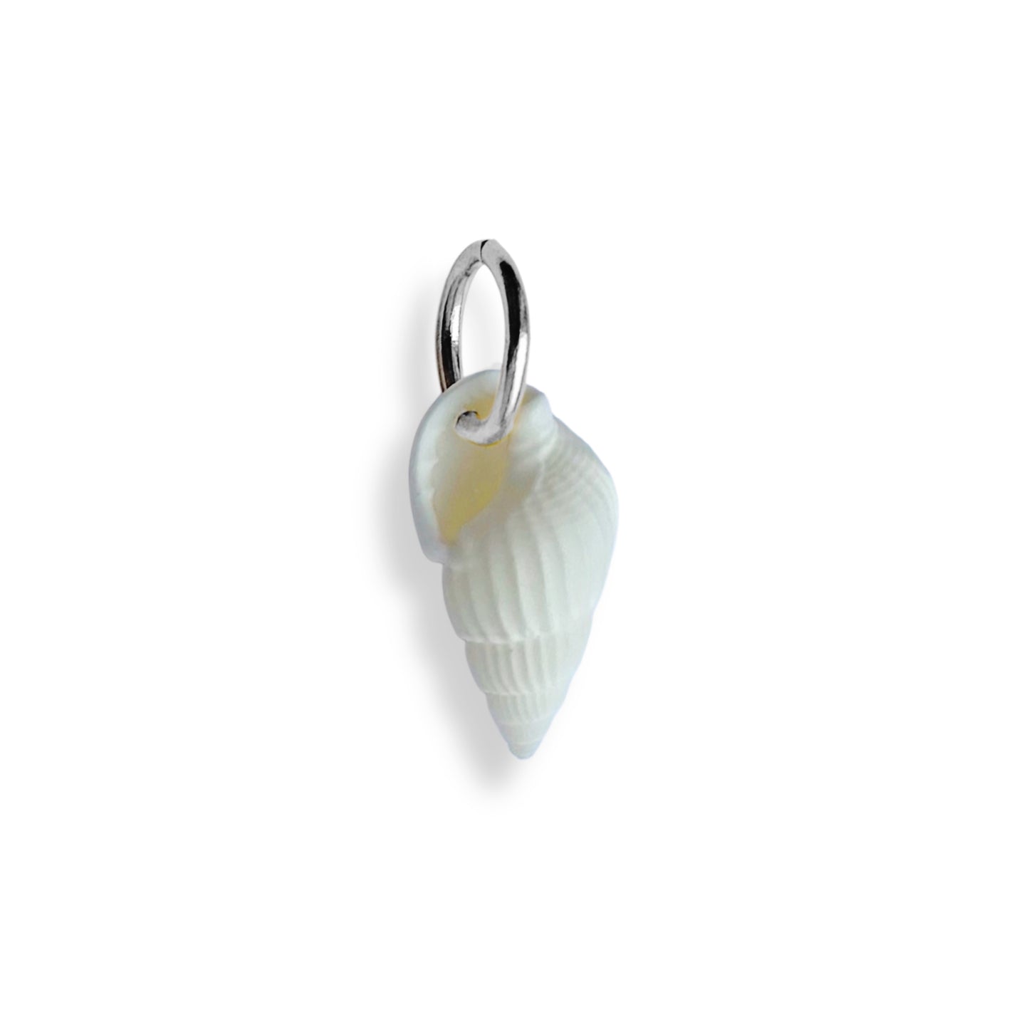 Petit coquillage pointu - charm