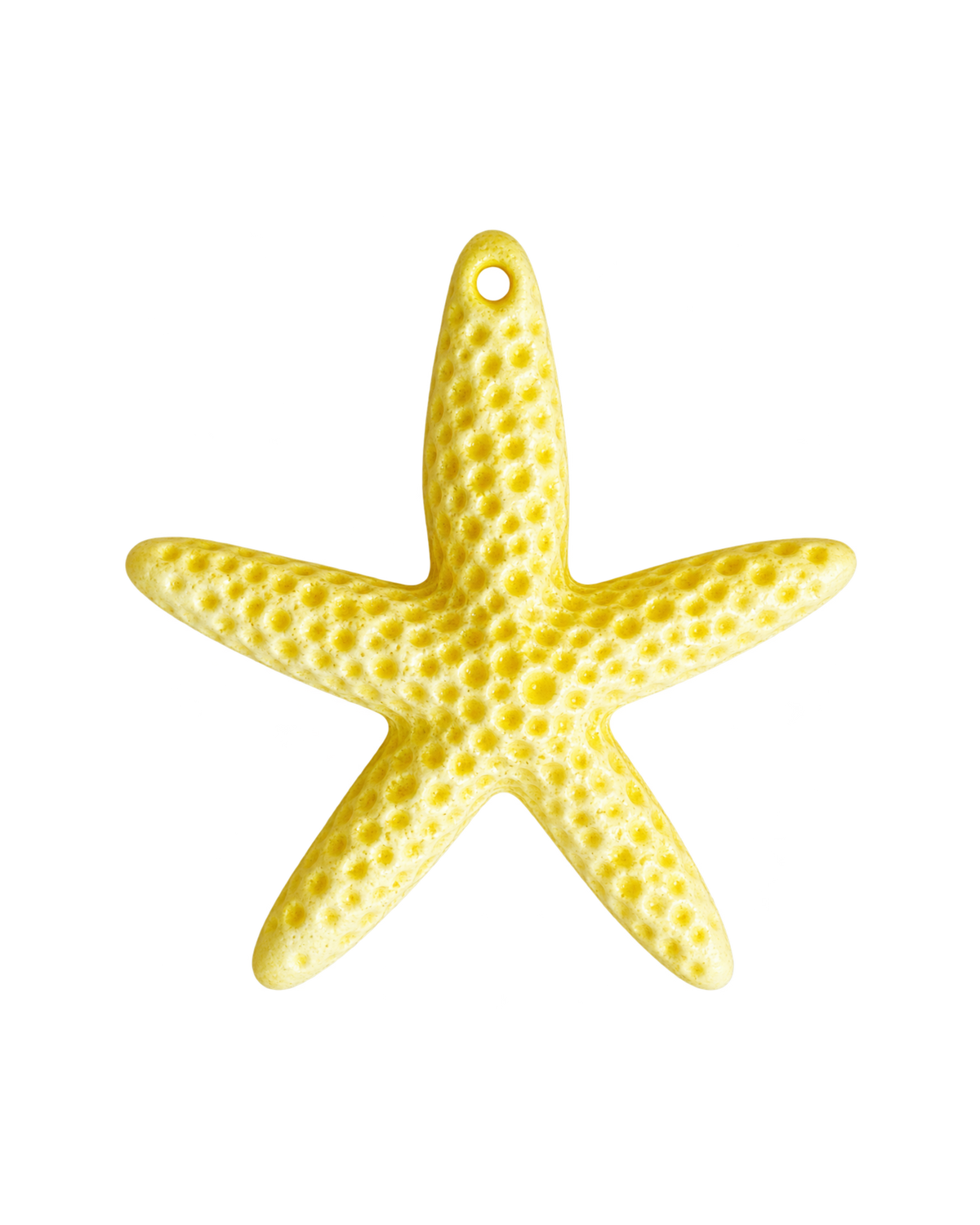 Étoile de mer colorée
