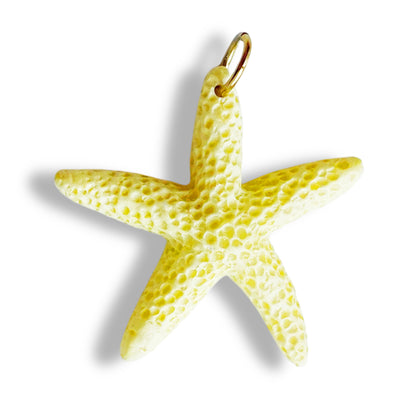Étoile de mer colorée