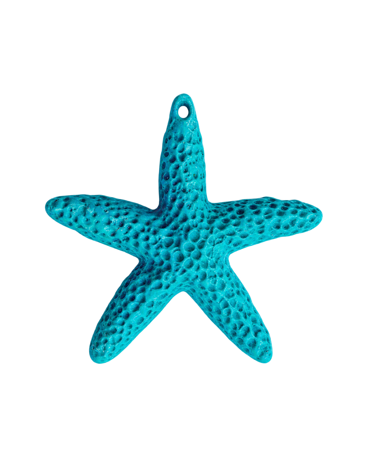 Étoile de mer colorée
