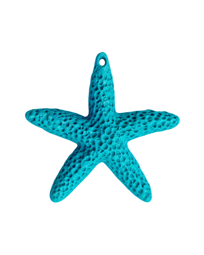 Étoile de mer colorée