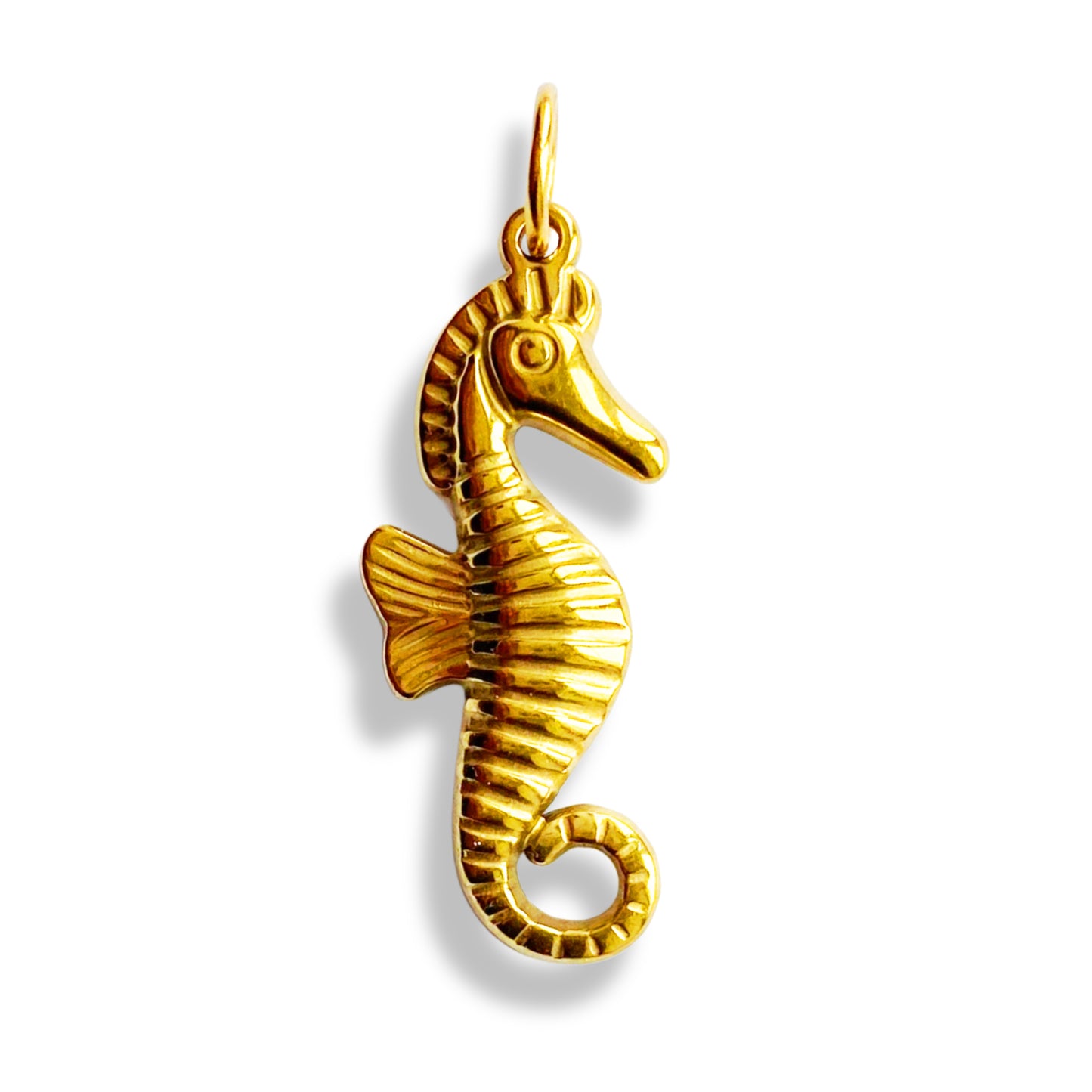 Hippocampe - charm