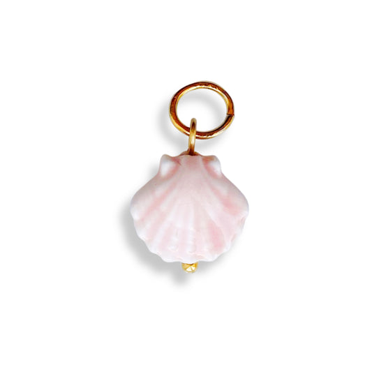 Coquillage céramique
