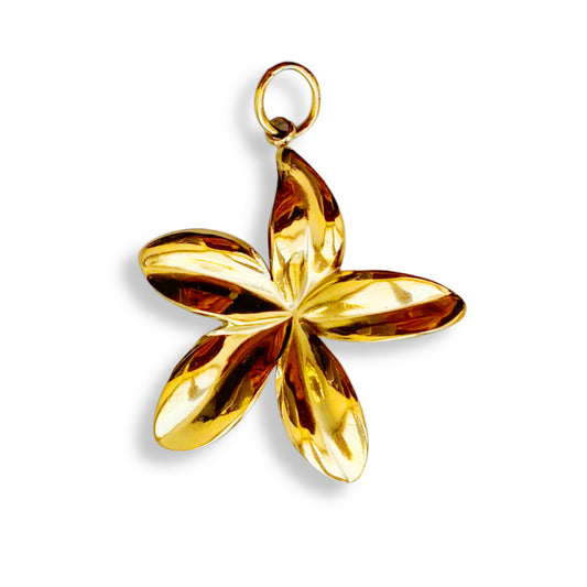 Fleur de Frangipanier