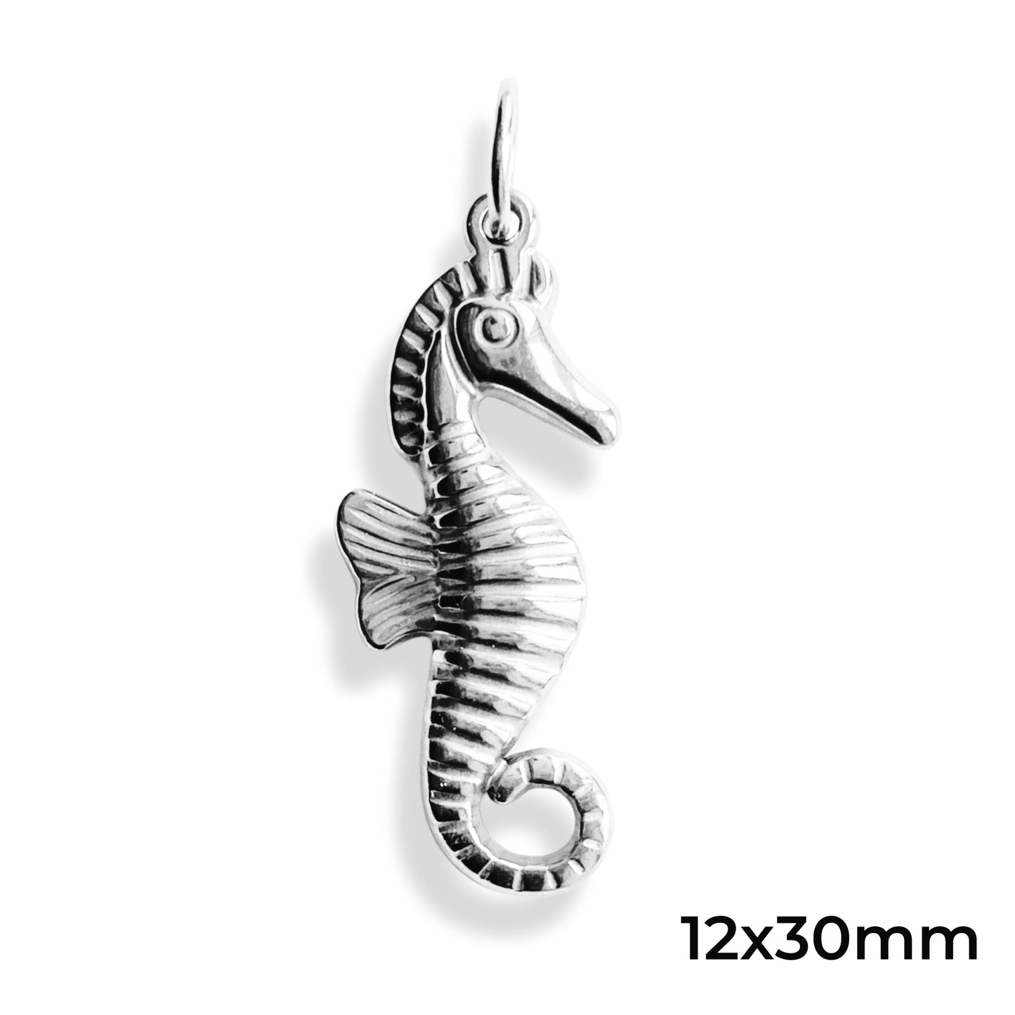 Hippocampe