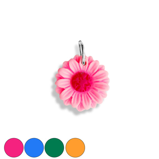 Pâquerette colorée