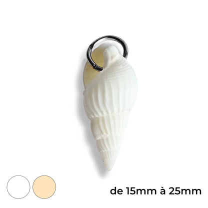 Grand coquillage