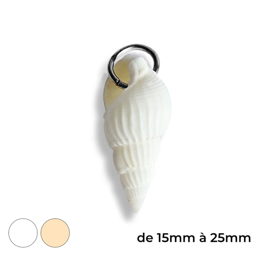 Grand coquillage