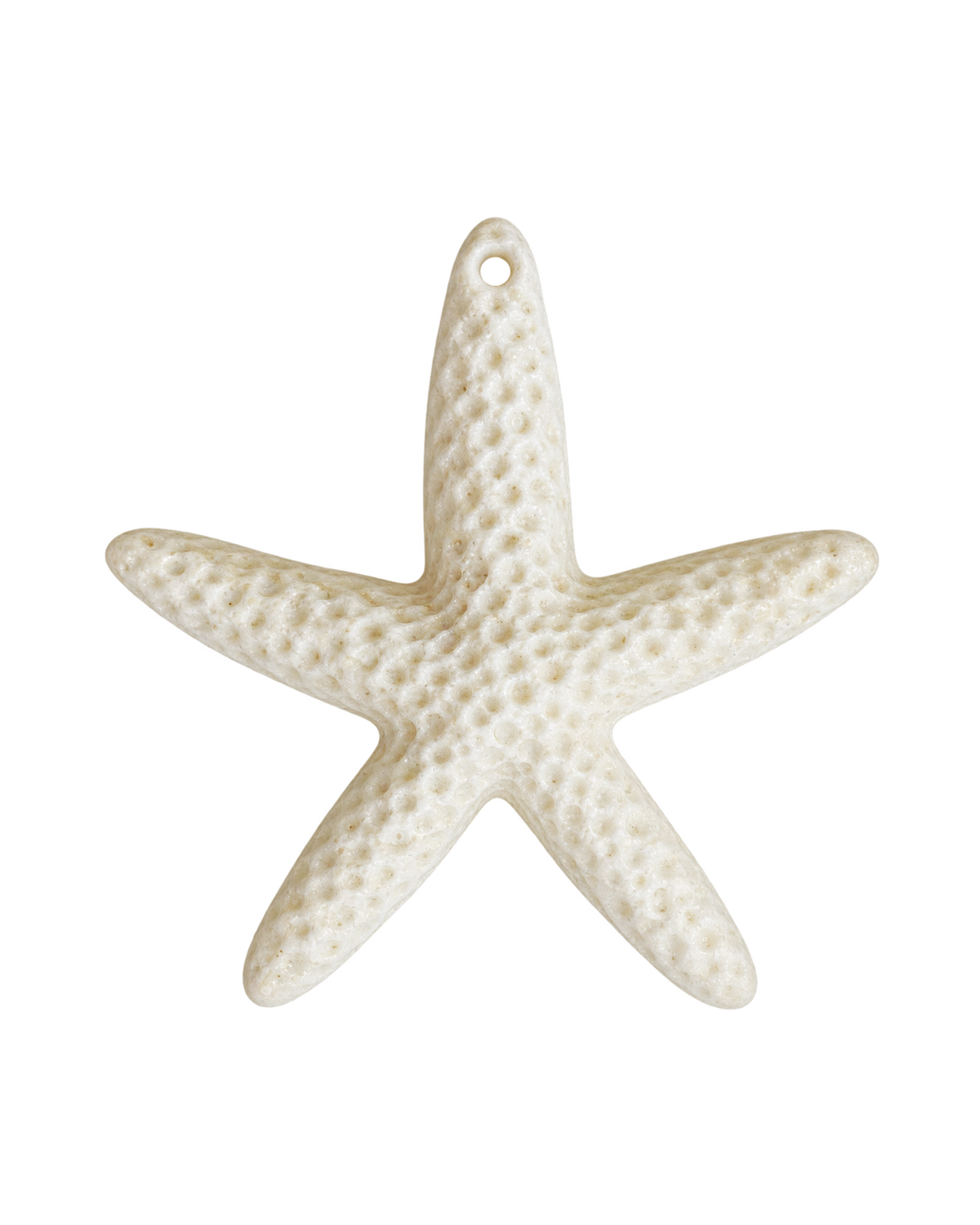 Étoile de mer colorée