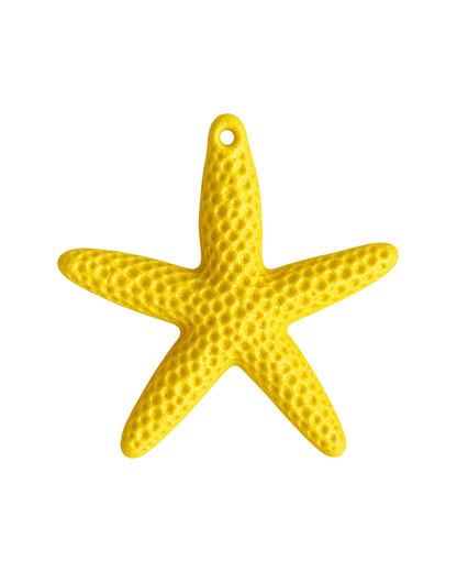 Étoile de mer colorée